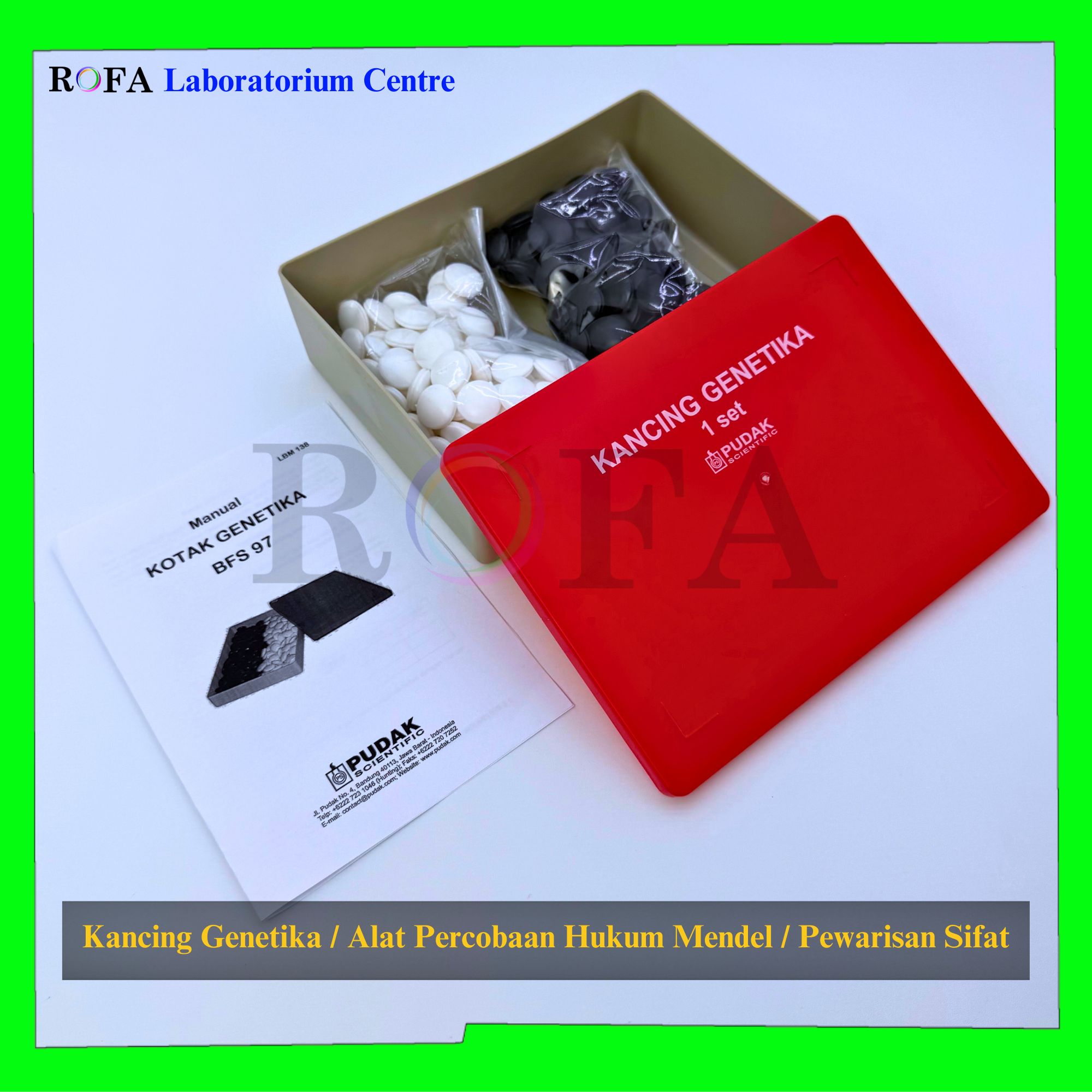 Kancing Genetika Kotak Genetika Alat Percobaan Hukum Mendel -2