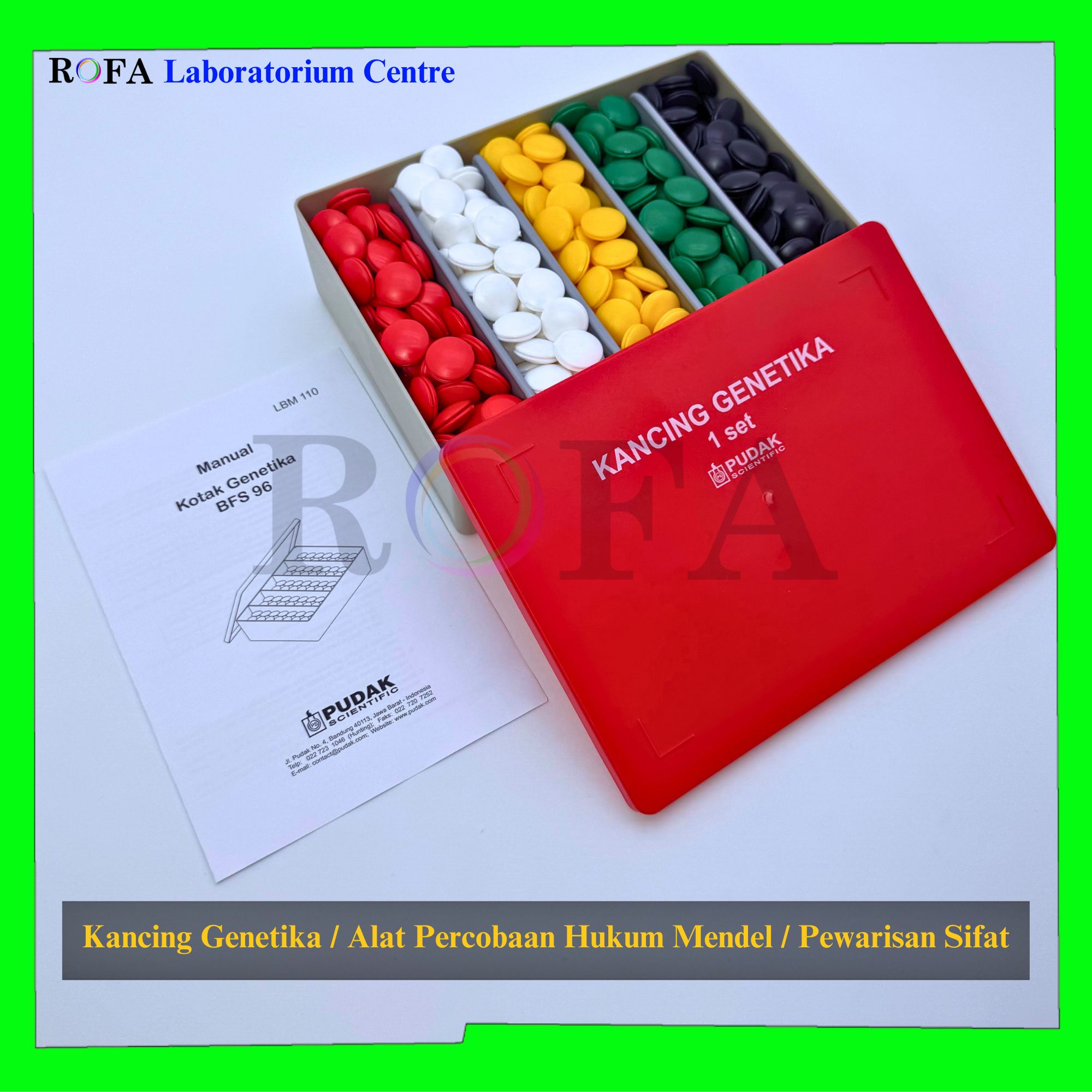 Kancing Genetika Kotak Genetika Alat Percobaan Hukum Mendel -3